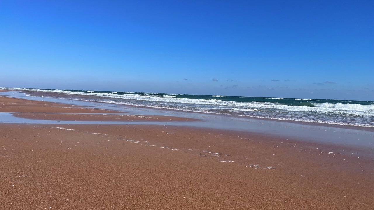 Photo of Others in Ormond-by-the-Sea