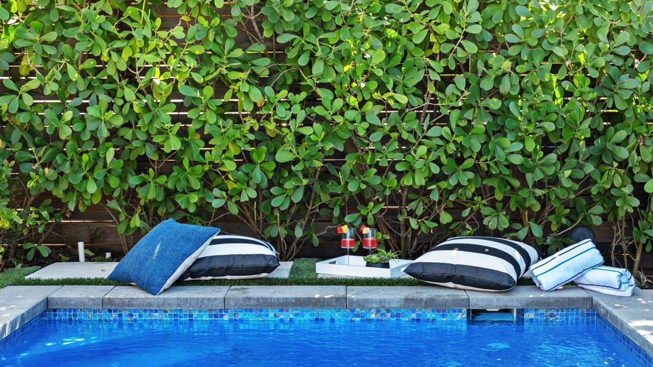 Photo of Outdoor in Beverly Heights