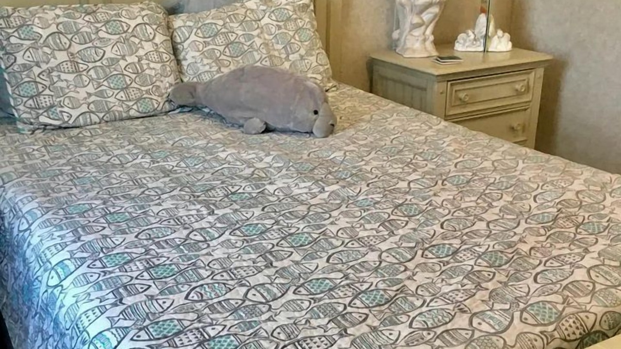 Photo of Bedroom in Survey Creek