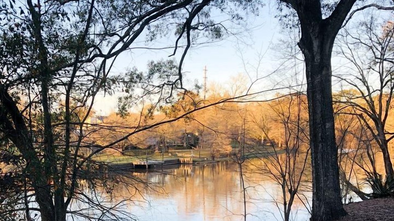 Photo of Others in Lafayette