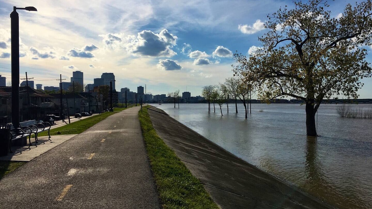 Photo of Others in Algiers Point