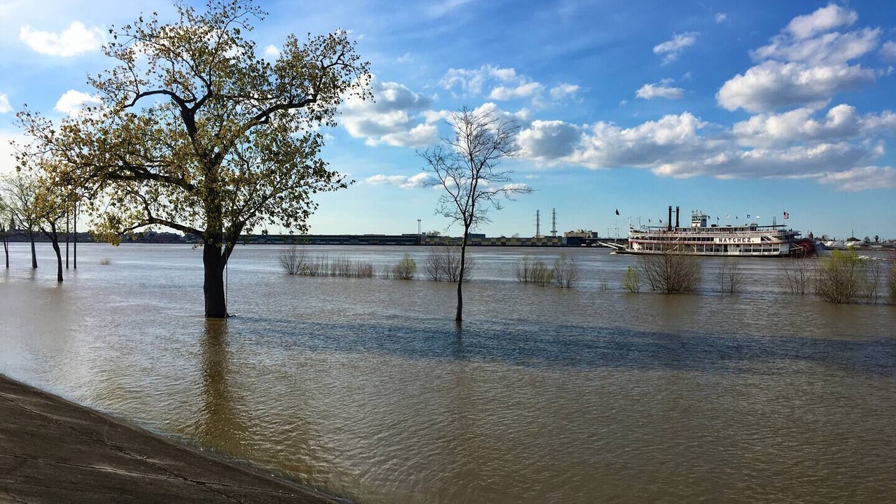 Photo of Others in Algiers Point