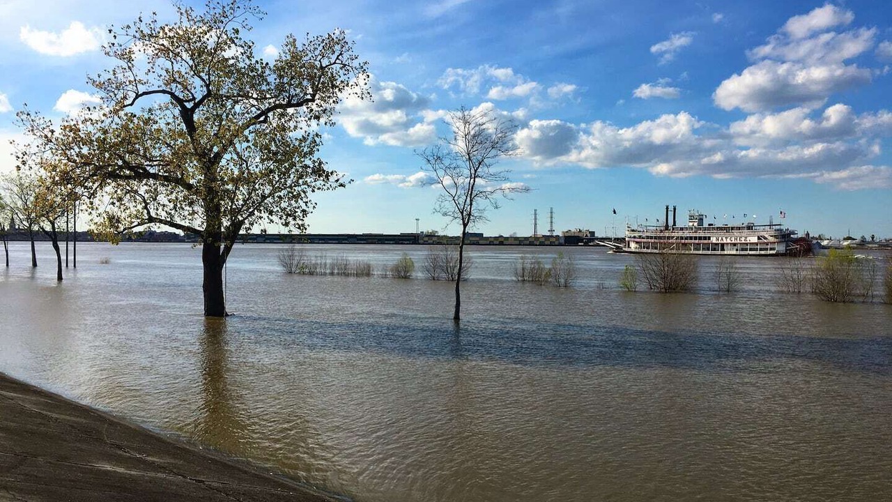 Photo of Others in Algiers Point