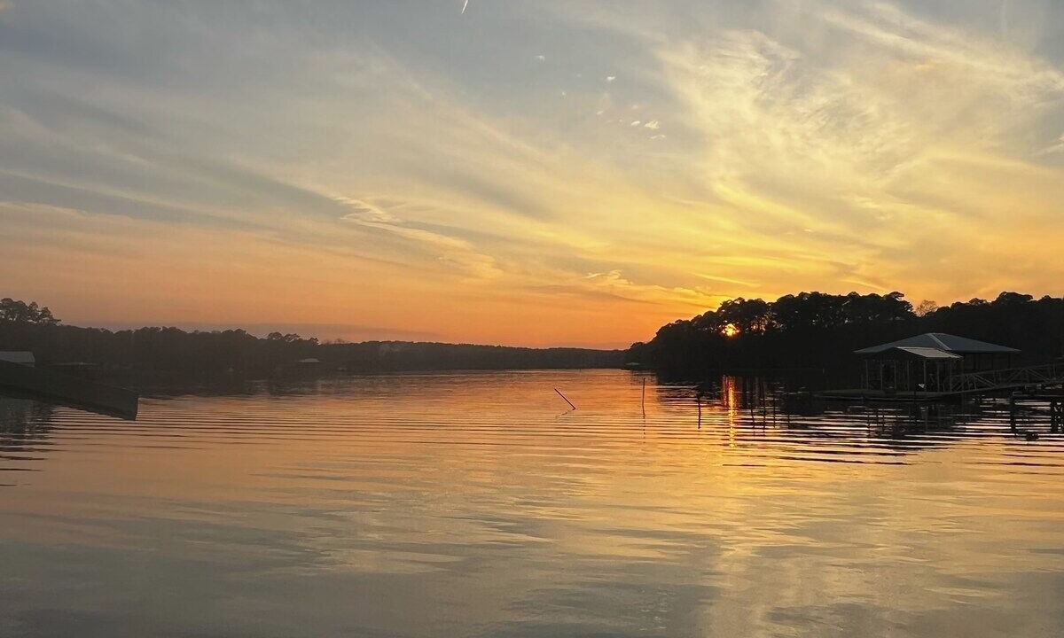 Photo of Others in South Toledo Bend