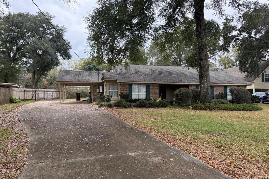 Photo of Outdoor in Satsuma