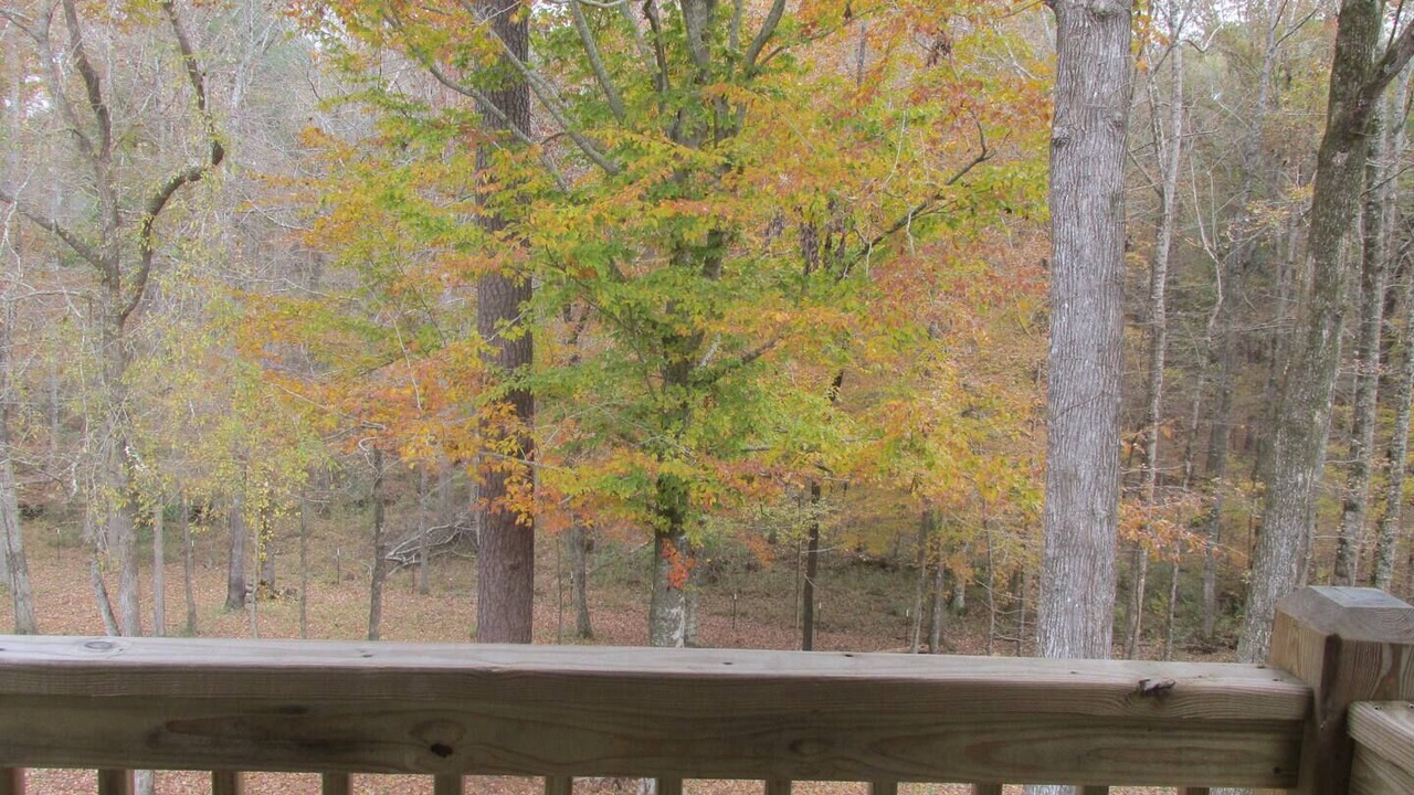 Photo of Outdoor in Collinsville