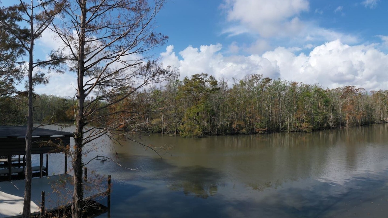 Photo of Others in Killian