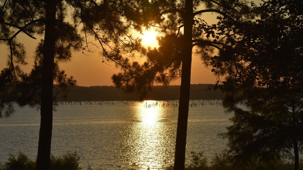 Photo of Others in Anacoco