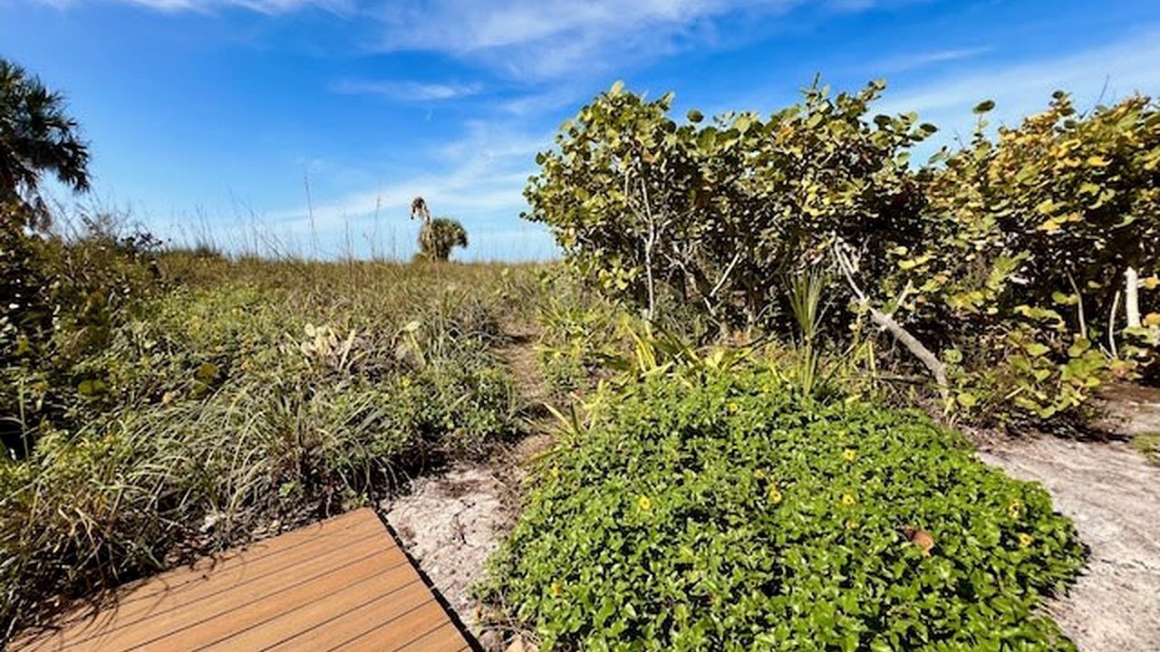 Photo of Outdoor in Placida