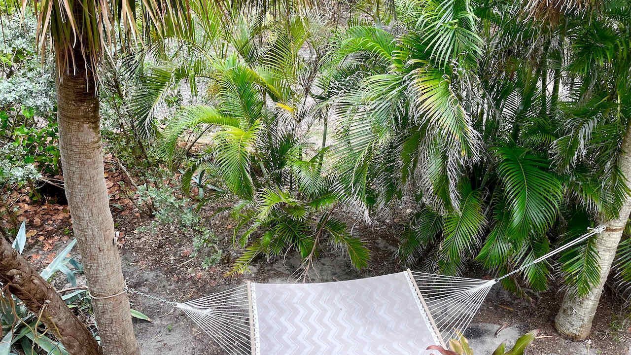 Photo of Outdoor in Placida