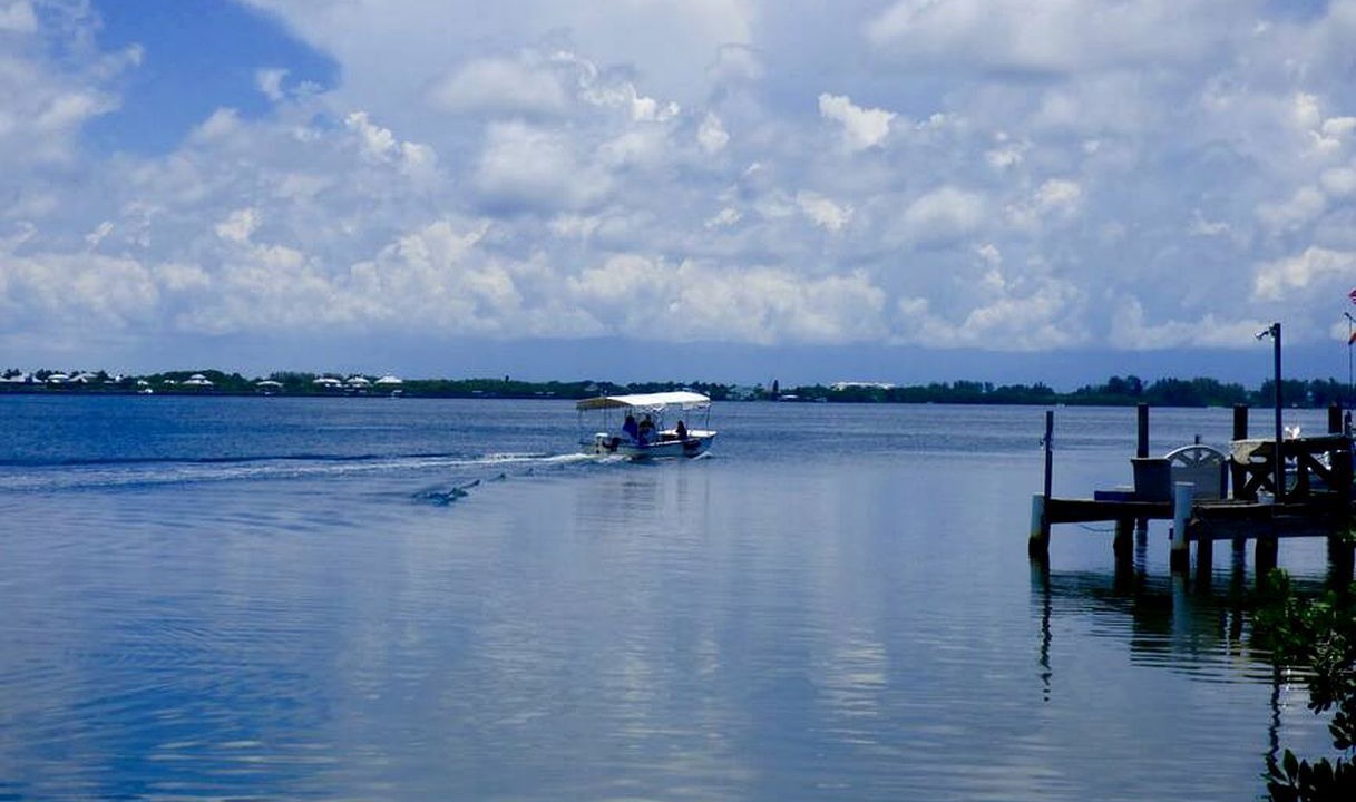 Photo of Others in Placida