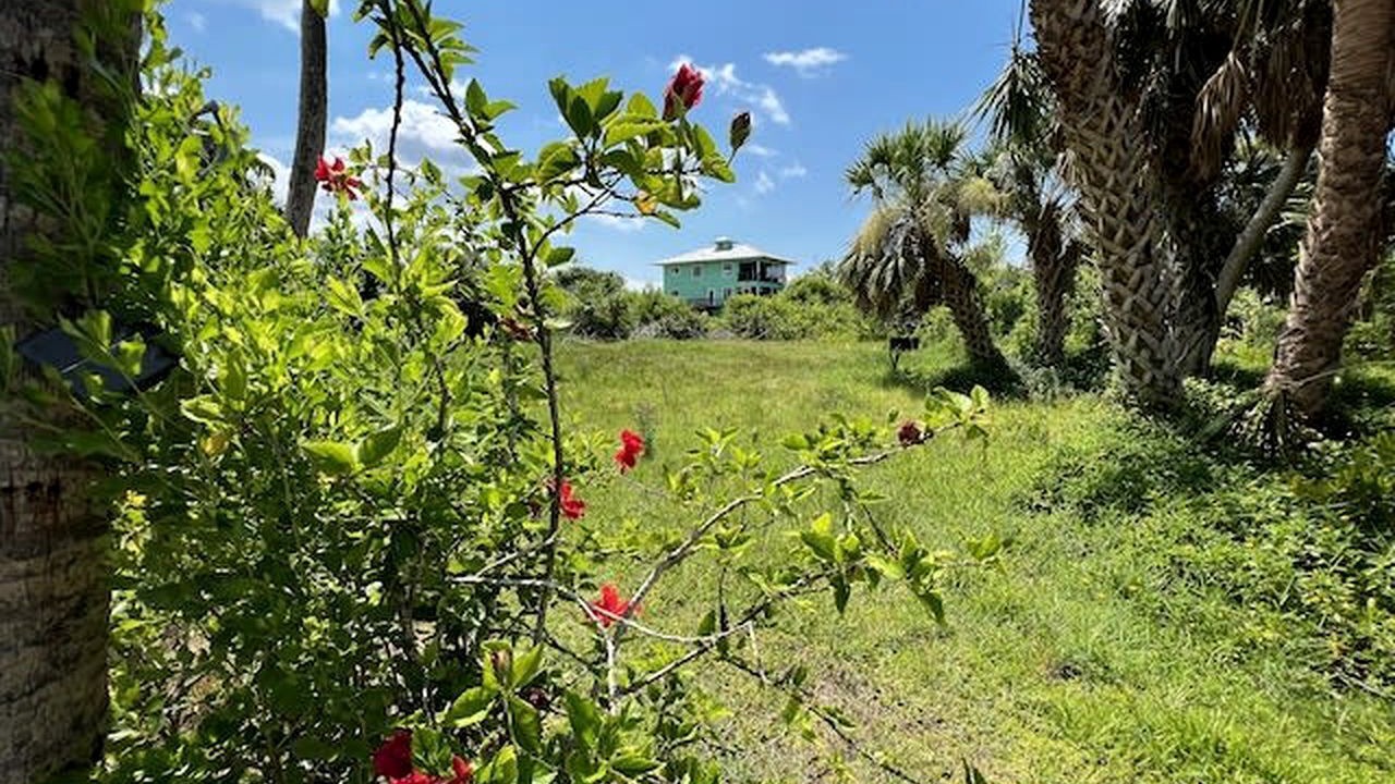 Photo of Outdoor in Placida