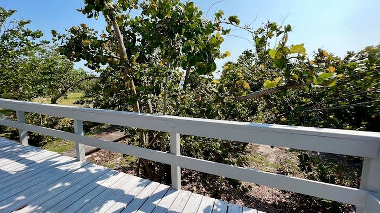 Photo of Outdoor in Placida