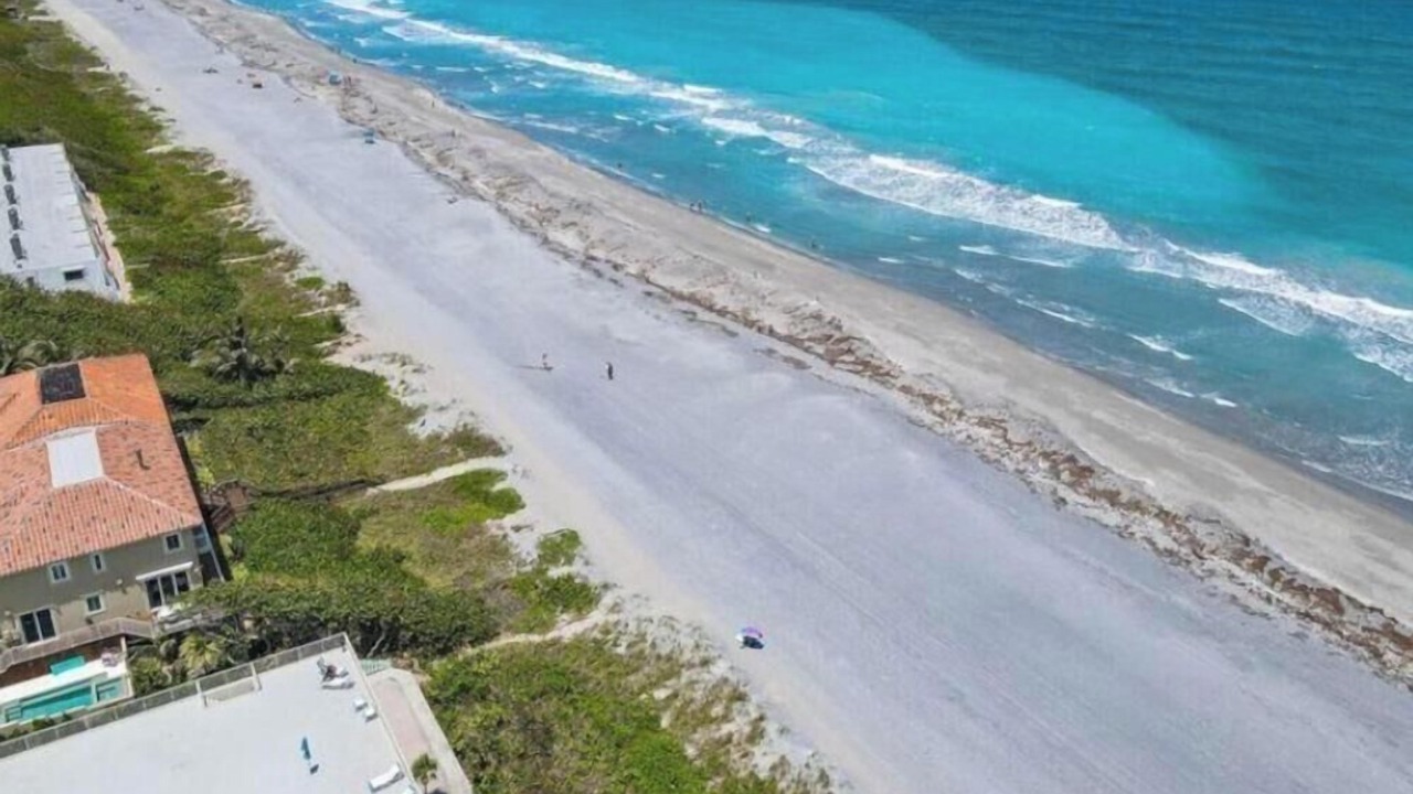 Photo of Others in Juno Beach