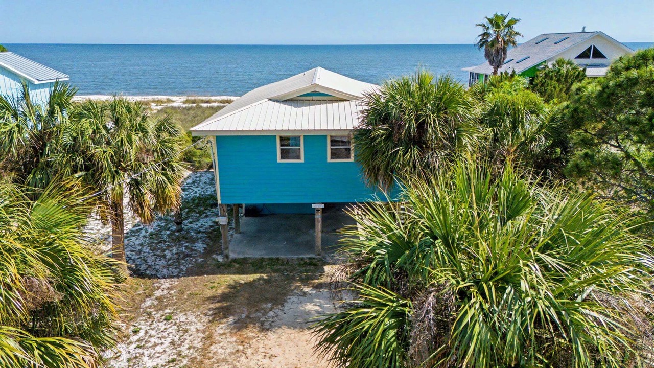 Photo of Outdoor in Alligator Point