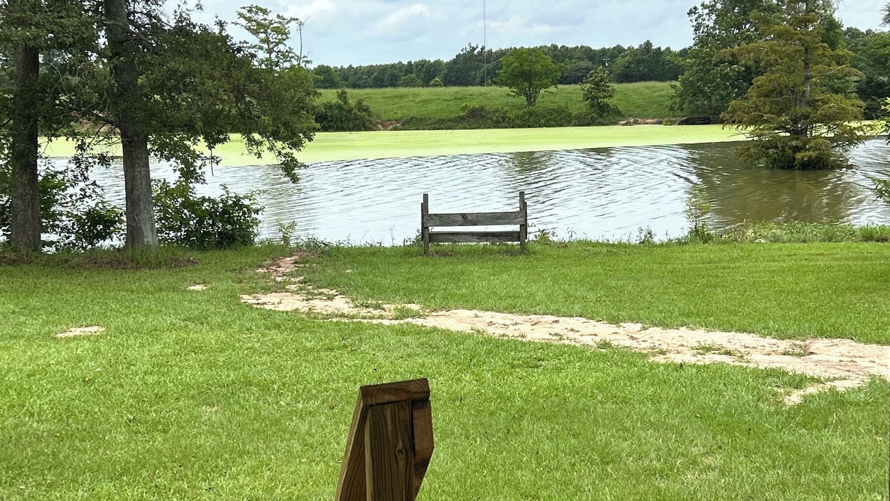 Photo of Outdoor in Start