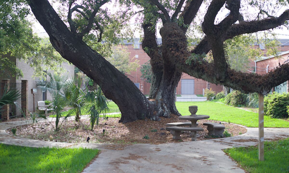 Photo of Outdoor in Pascagoula