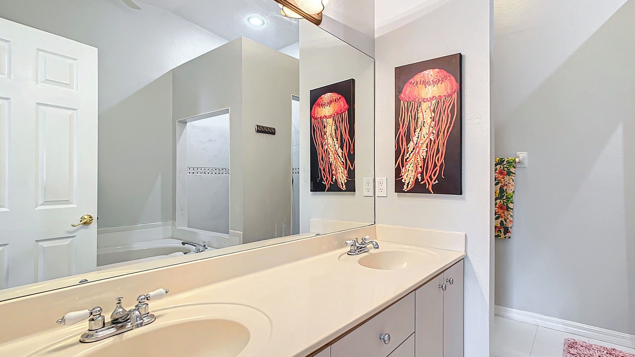Photo of Bathroom in Tierra Verde