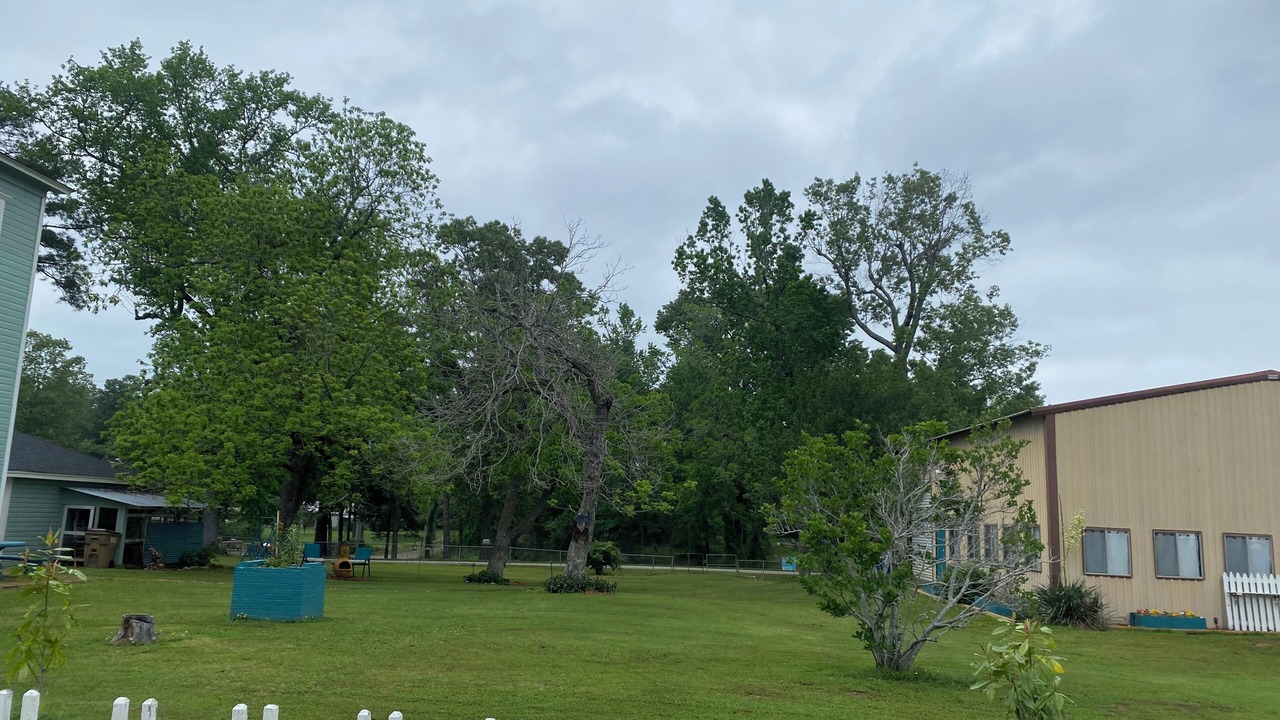Photo of Outdoor in Hemphill