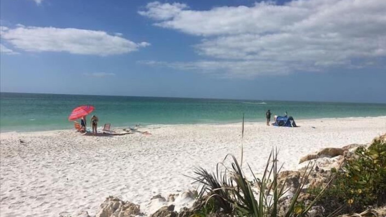 Photo of Others in Bradenton Beach