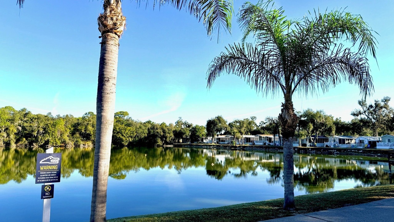 Photo of Outdoor in Braden River