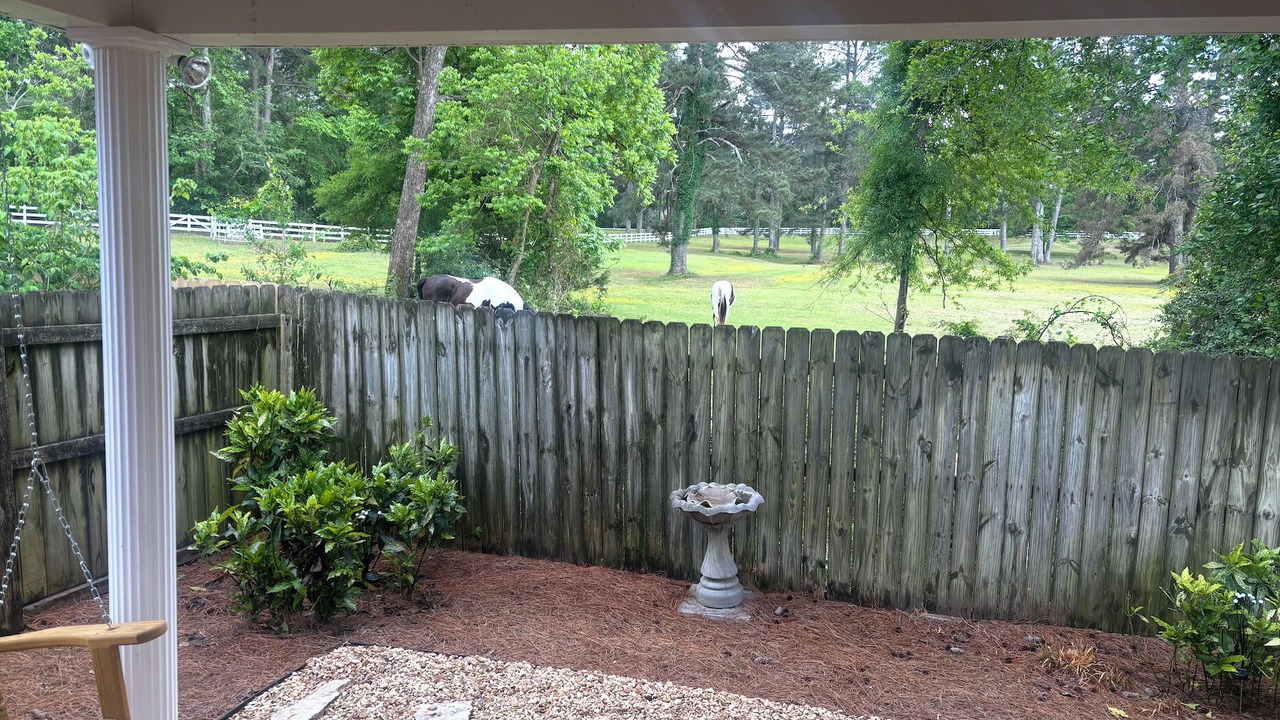 Photo of Outdoor in Starkville