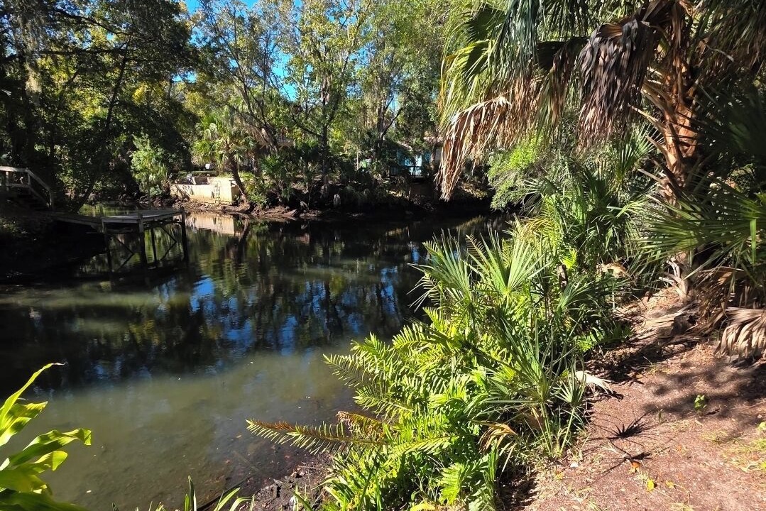 Photo of Others in Weeki Wachee Gardens