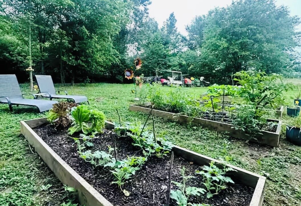 Photo of Outdoor in Murfreesboro