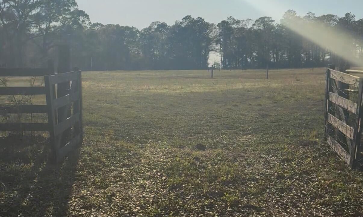 Photo of Others in Laurel Hill