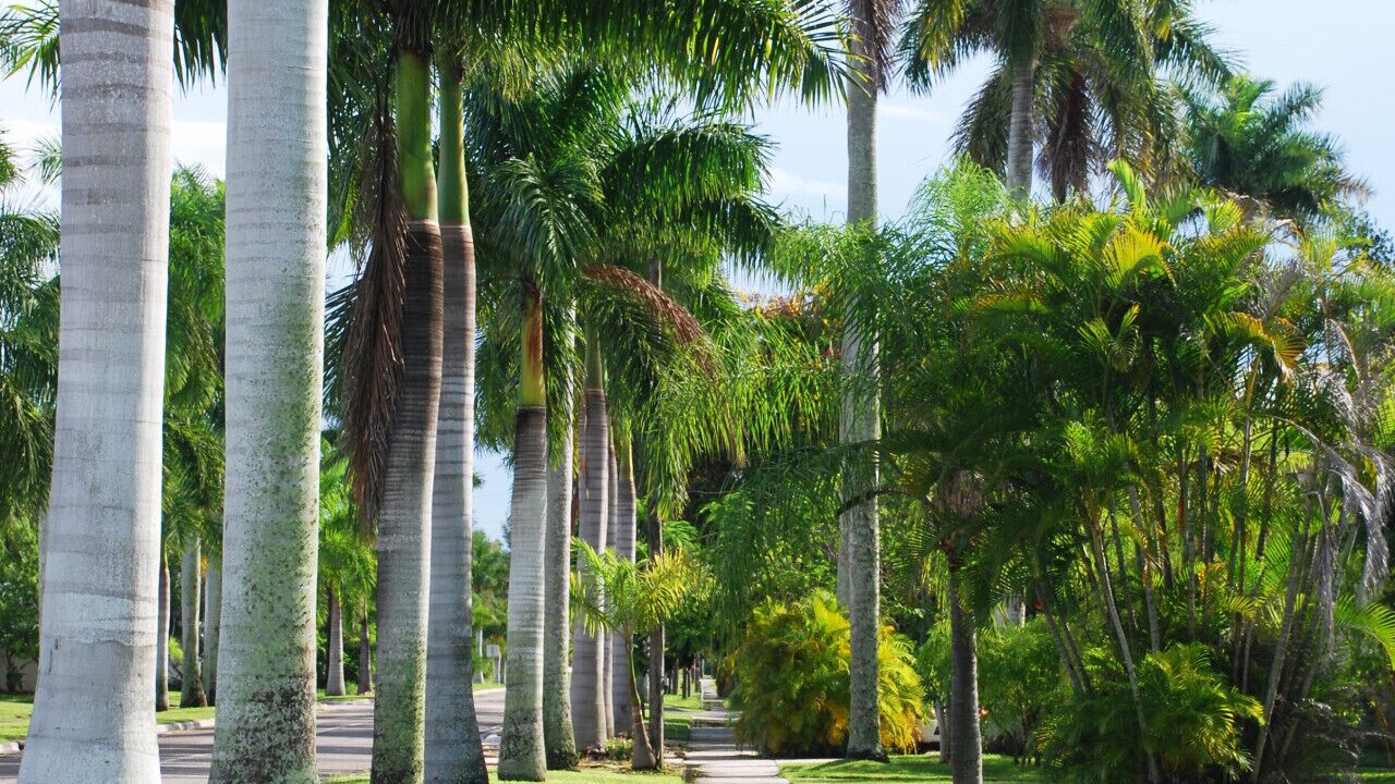 Photo of Others in Punta Gorda