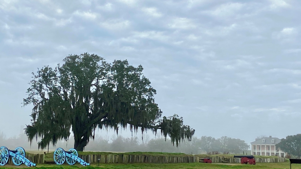 Photo of Others in Chalmette