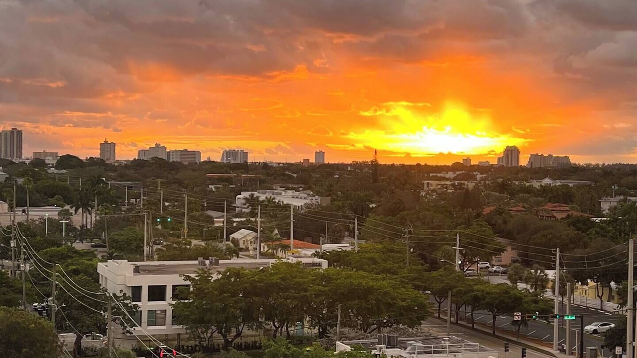 Photo of Others in Downtown Fort Lauderdale
