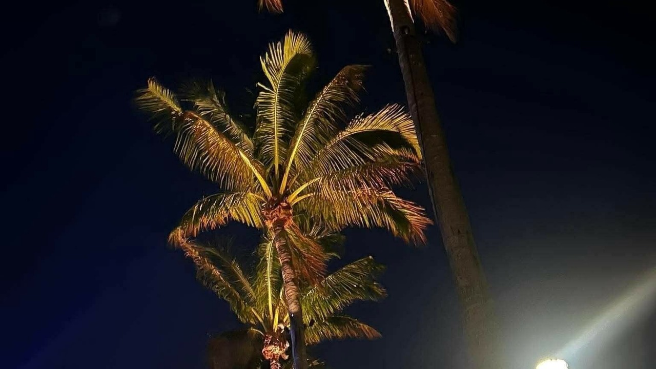 Photo of Others in Port Charlotte