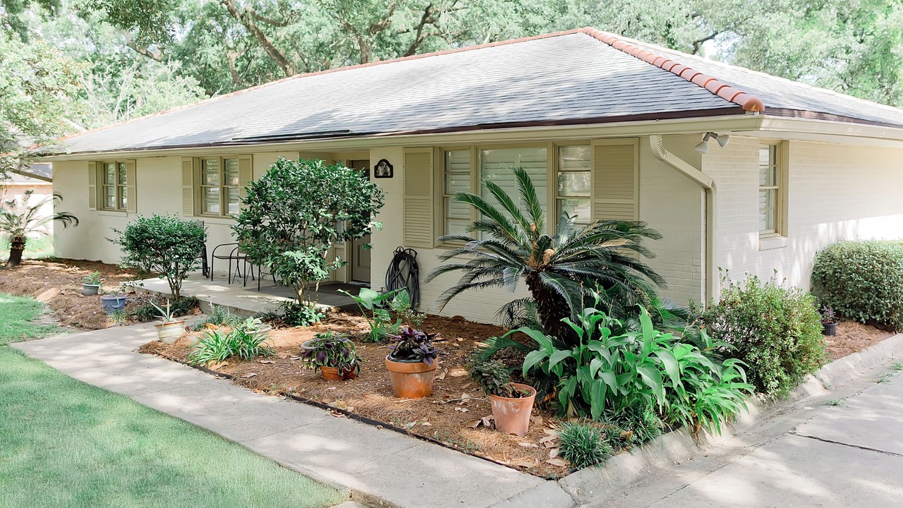 Photo of Outdoor in Mid City South