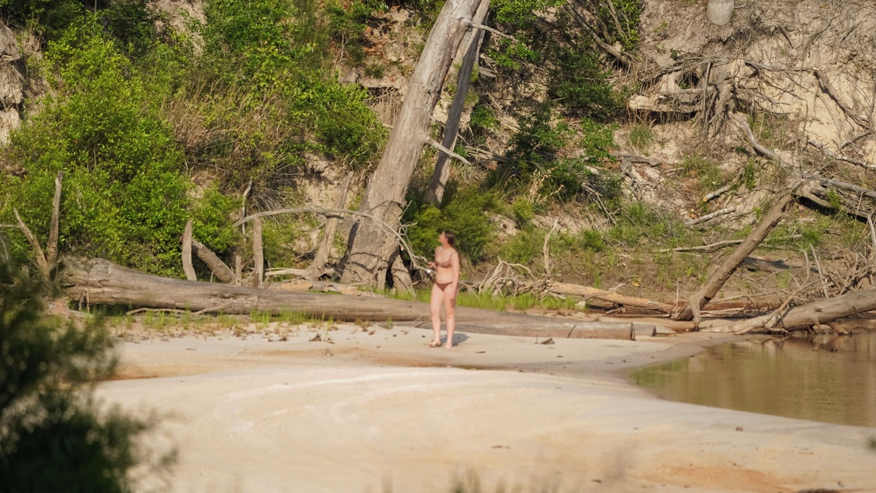 Photo of Others in Citronelle