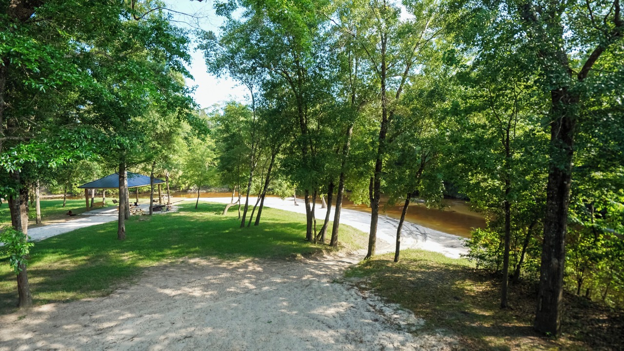 Photo of Others in Citronelle