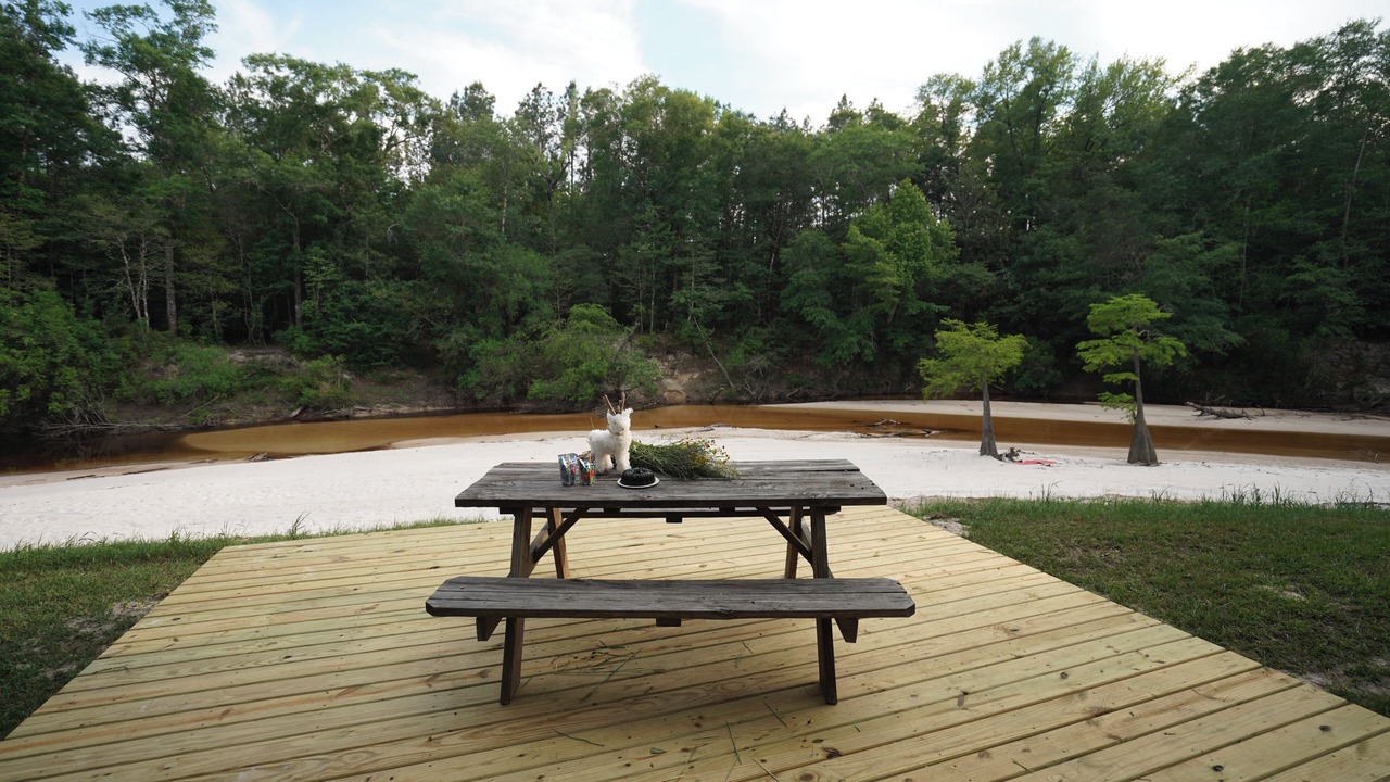 Photo of Outdoor in Citronelle