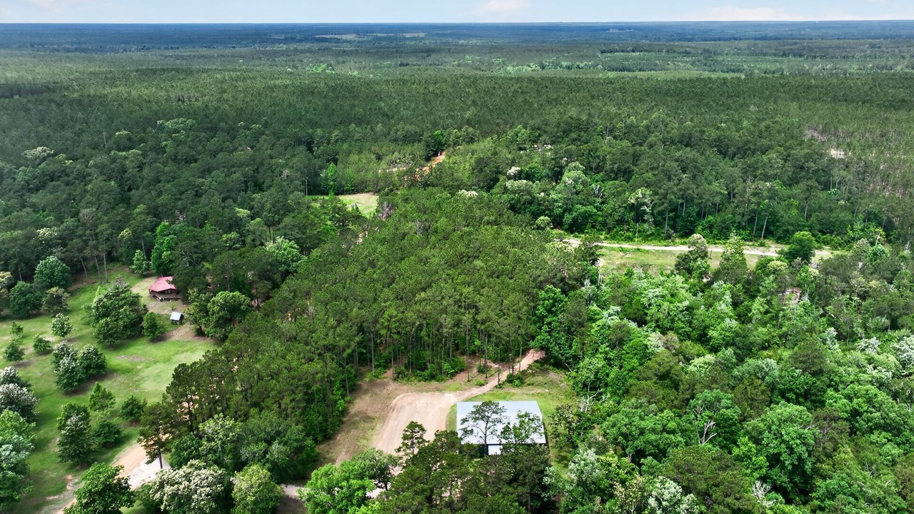 Photo of Outdoor in Woodville