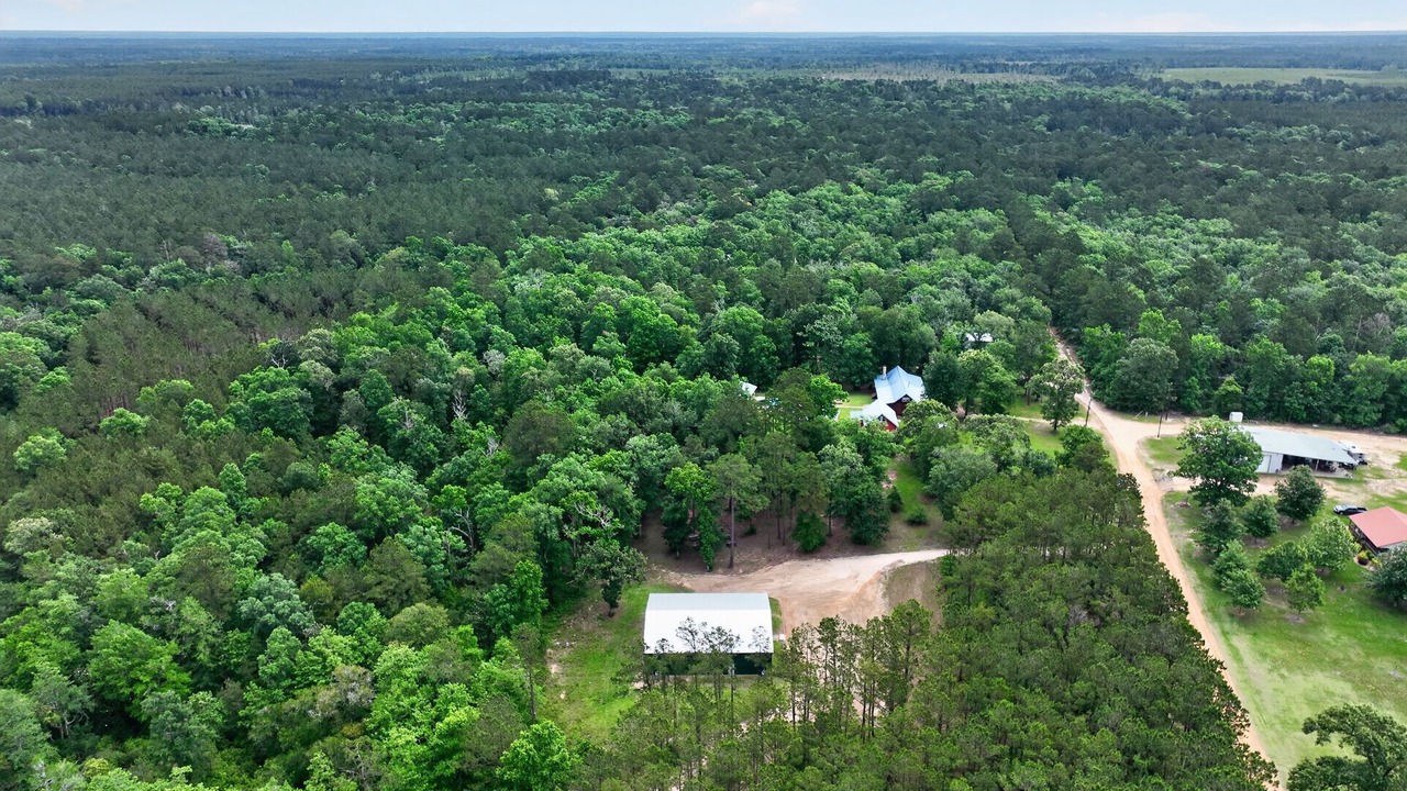 Photo of Outdoor in Woodville