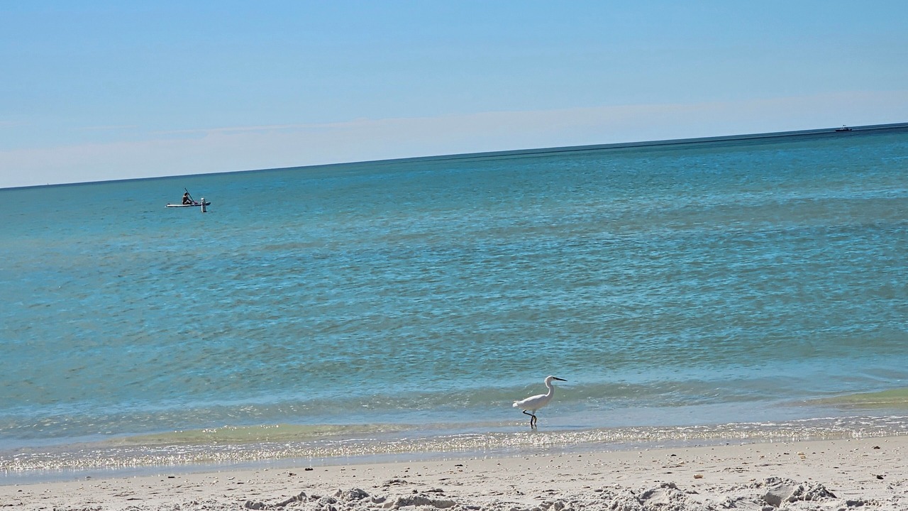 Photo of Others in Lely Golf Estates