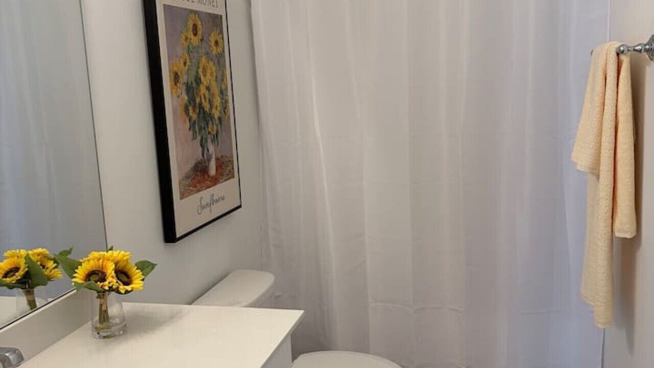 Photo of Bathroom in Hoover