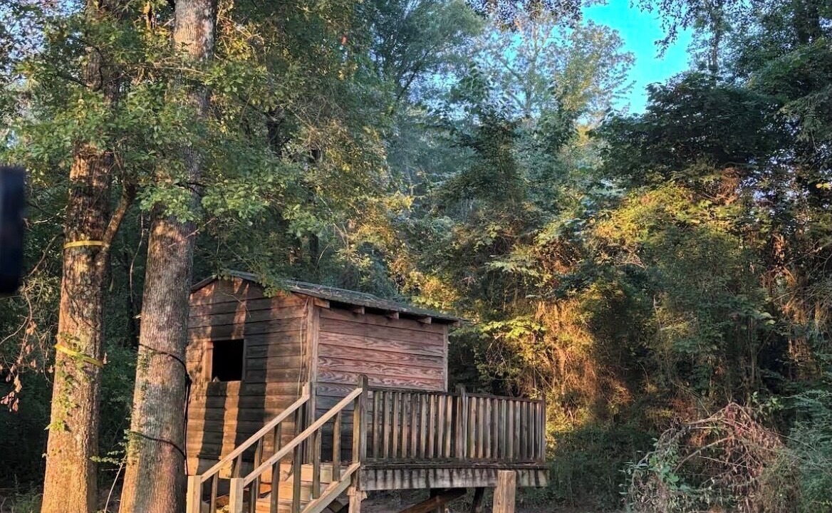 Photo of Outdoor in Samantha