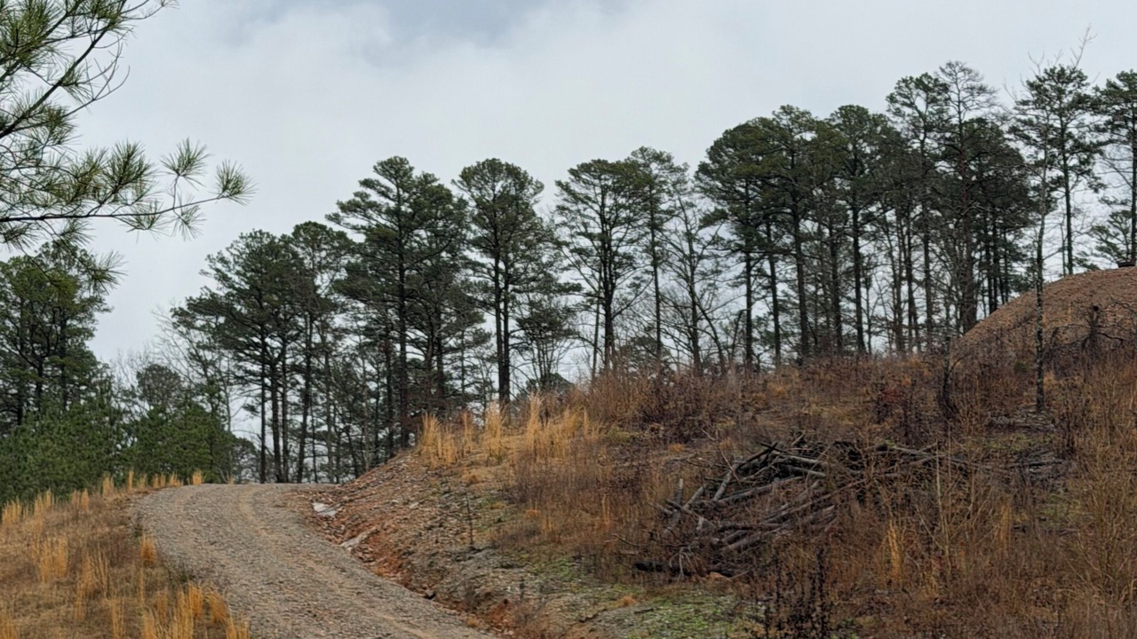 Photo of Others in Pine Ridge