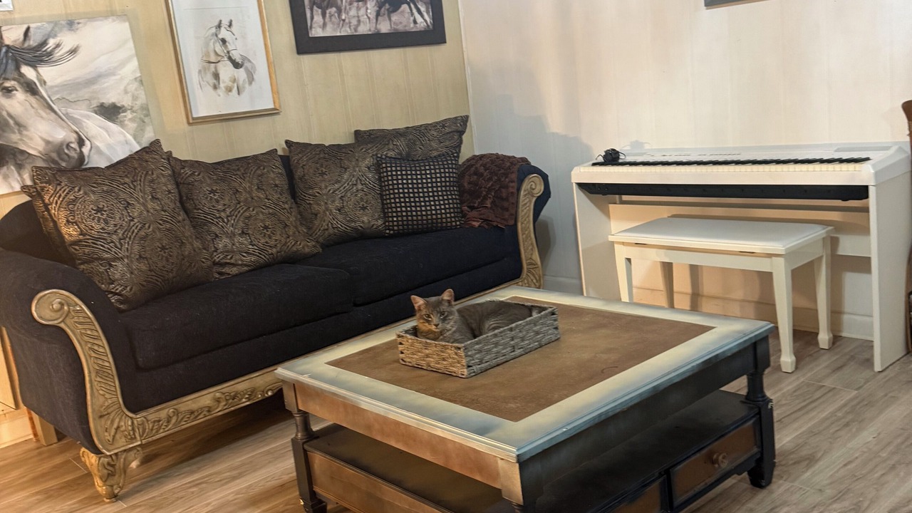 Photo of Livingroom in Schriever