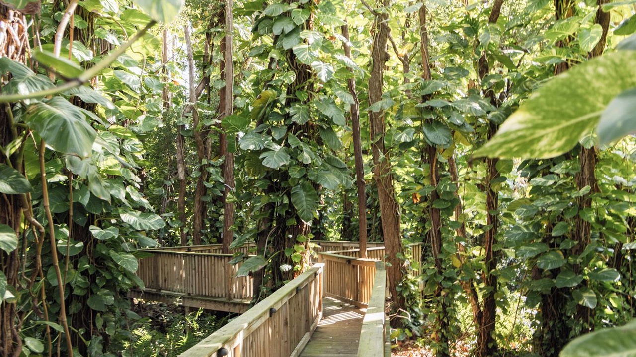 Photo of Outdoor in New Port Richey