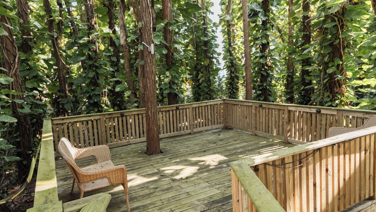 Photo of Outdoor in New Port Richey