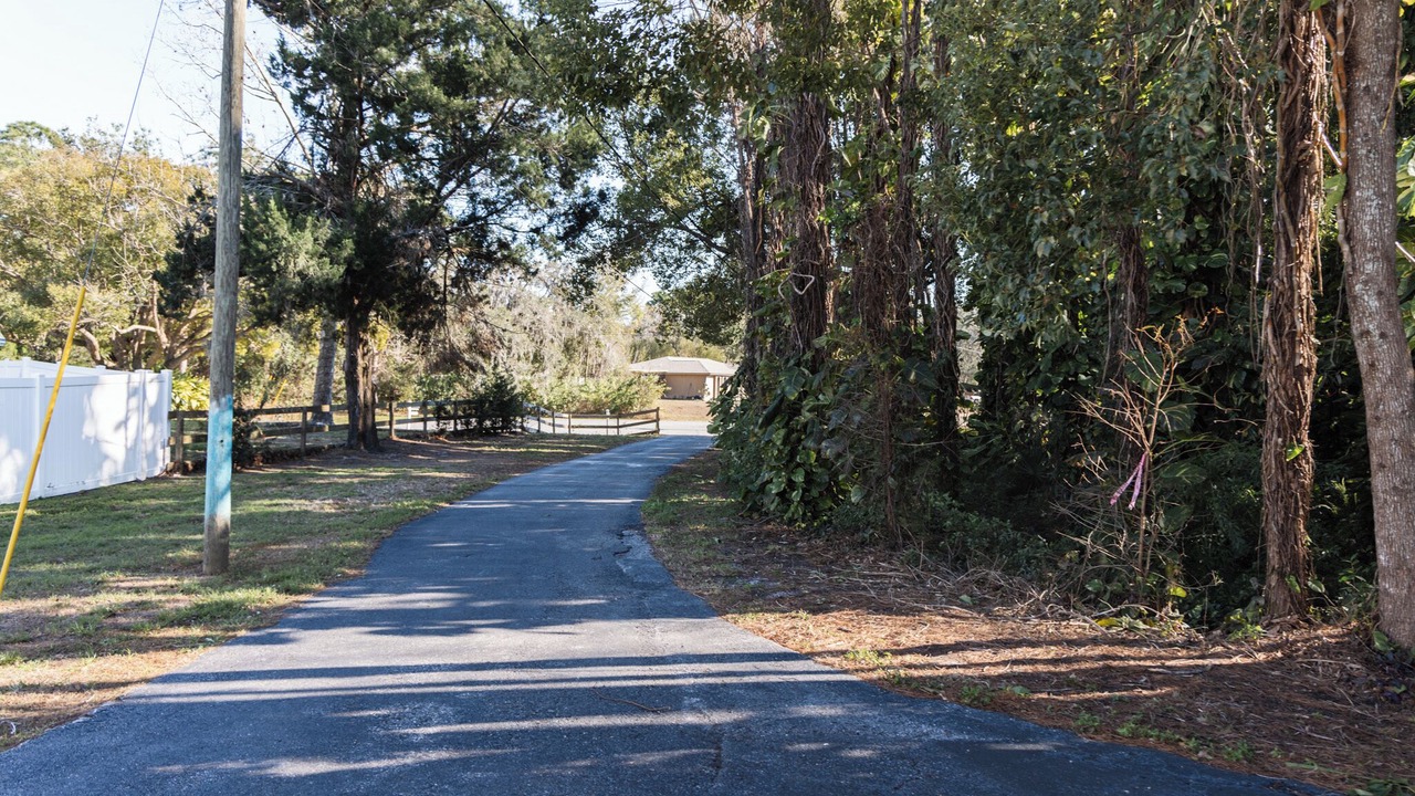 Photo of Outdoor in New Port Richey