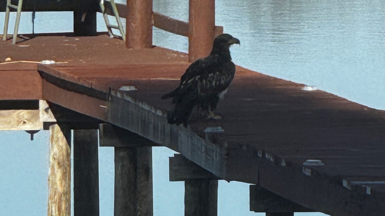 Photo of Others in Lake Placid