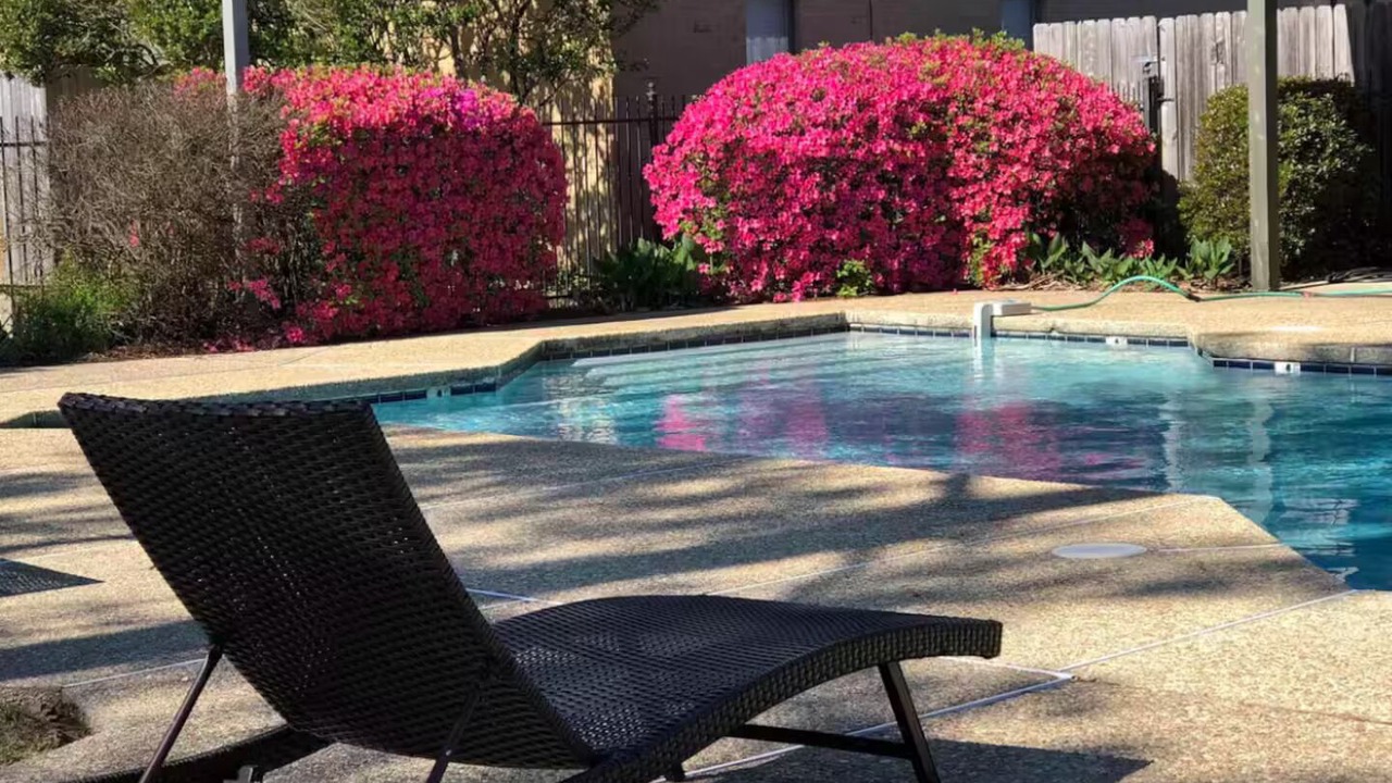 Photo of Outdoor in South Baton Rouge