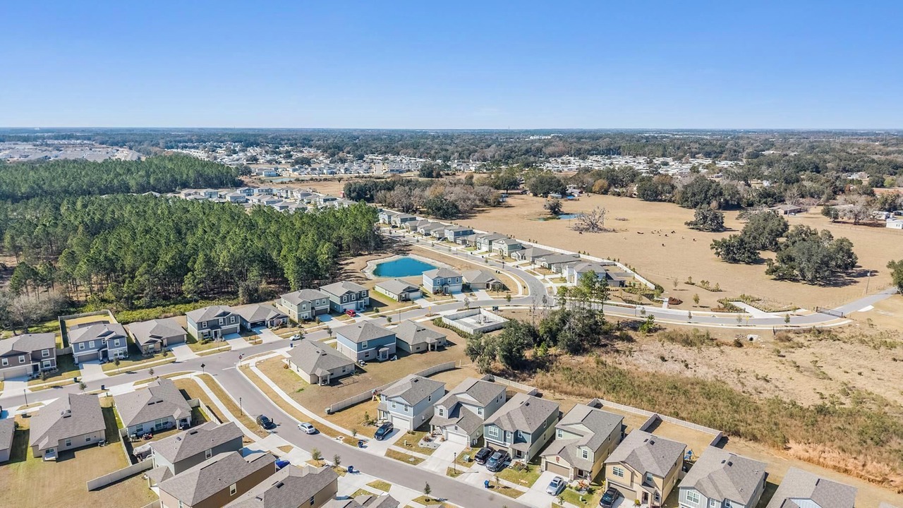 Photo of Outdoor in Zephyrhills